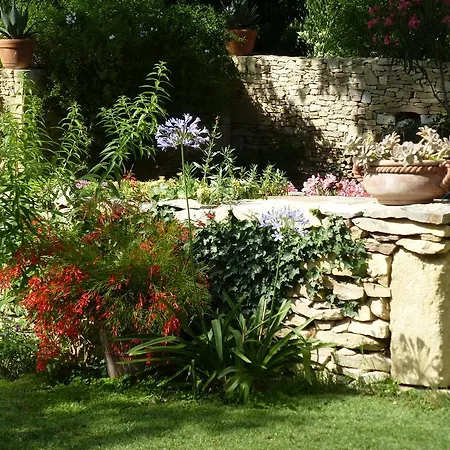 Holiday home L'enclos Du Micocoulier *