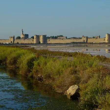L'enclos Du Micocoulier