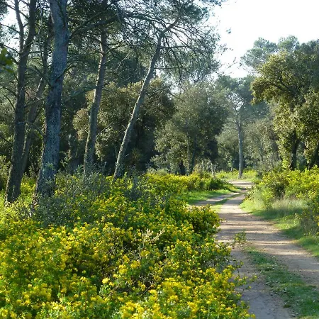 L'enclos Du Micocoulier