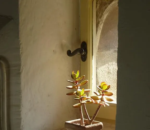 L'enclos Du Micocoulier Σπίτι διακοπών *