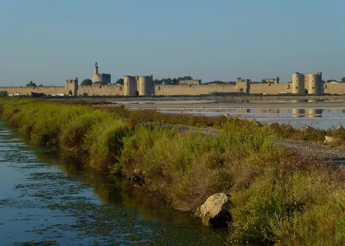 L'enclos Du Micocoulier