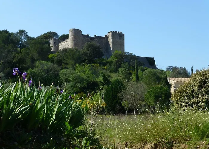 L'enclos Du Micocoulier Σπίτι διακοπών *